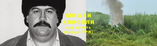 прущие крисы Абинск